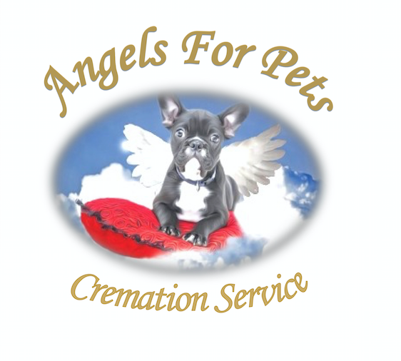 Angels for Pets - Logo - Gold
