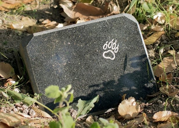 Tombstone on Pet's Grave — Pet Cremations in Emerald, QLD