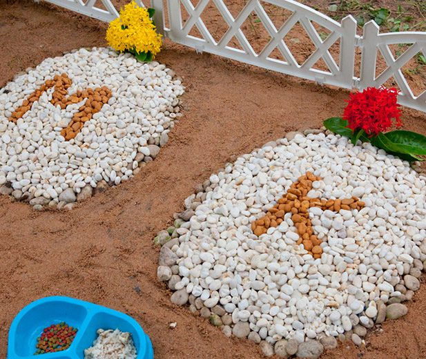 Pet Graves in the Sand — Pet Cremations in Emerald, QLD